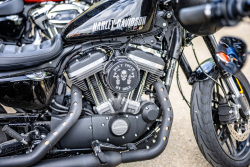 American Backstage #12 - Photo 332