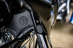 American Backstage #12 - Photo 333