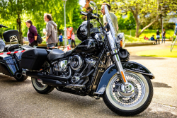 American Backstage #12 - Photo 334