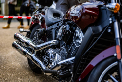 American Backstage #12 - Photo 335