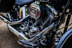 American Backstage #12 - Photo 336