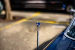 American Backstage #12 - Photo 340