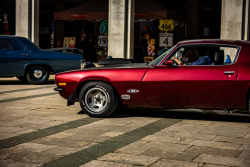 American Backstage #12 - Photo 354