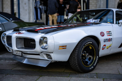 American Backstage #12 - Photo 355