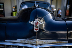 American Backstage #12 - Photo 357