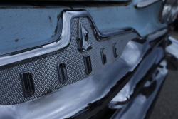 American Backstage #12 - Photo 361