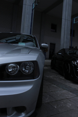 American Backstage #12 - Photo 362