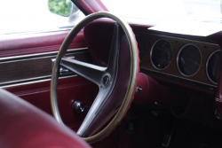 American Backstage #12 - Photo 363