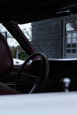 American Backstage #12 - Photo 365