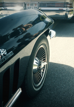 American Backstage #13 - Photo 92