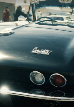 American Backstage #13 - Photo 94