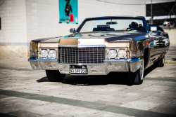 American Backstage #13 - Photo 107