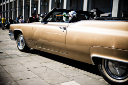 American Backstage #13 - Photo 108
