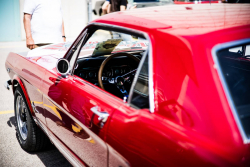 American Backstage #13 - Photo 284